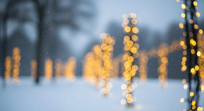 Winter string lights illuminating snowy christmas tree branches. Christmas lights glowing on a snowy Christmas tree, illuminating a winter garden. - Powered by Adobe