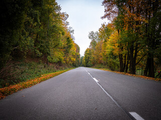 Straight country road surrounded by autumn trees and fallen leaves. Empty asphalt road in rural landscape, perspective view through forest in fall season.
