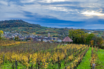 Arbois village and Jura vineyard in autumn