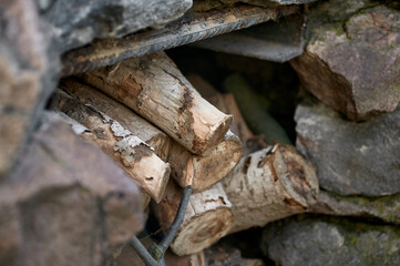 Birch Firewood Stacked in a Stone Niche