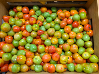 Vibrant collection of fresh, healthy tomatoes in various stages of ripeness, from lush green to rich red, displayed abundantly in a market bin for culinary use