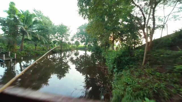Dynamic FPV cinematic drone footage flying over a rural farm road at sunrise. Reveals lush cassava (tapioca) and corn fields, a farm pond, and a large tree in Isaan, Thailand. Perfect for agriculture,