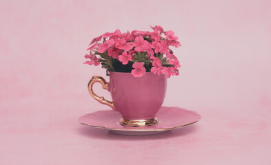 Pink flowers in a pink cup.
