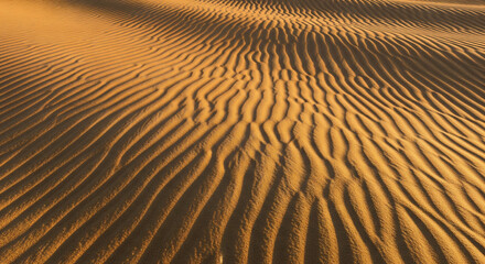 Textured sand dunes form wavy patterns with shadows highlighting ridges in a desert landscape
