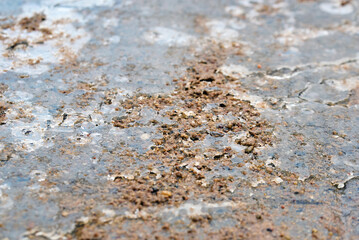 Closeup view of sand scattering over icy paving slabs for road traction improvement during winter maintenance ensuring pedestrian safety on slippery urban surfaces. Selective focus