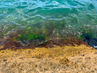 sea coast with stones and waves