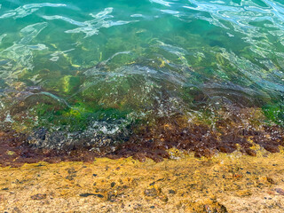 concrete seashore with algae