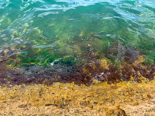 sea and rocks in the summer season