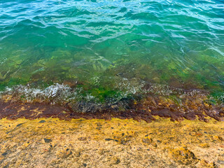 sea shore with clear water