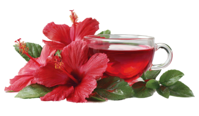 Hibiscus tea in a clear glass, with vibrant red flowers and green leaves, black background