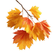 Branch bearing vibrant, autumnal foliage on a stark black background