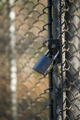 Black Padlock Securing Chain-Link Fence Gate