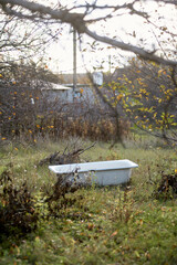 Abandoned White Bathtub Sitting in Overgrown Rural Yard