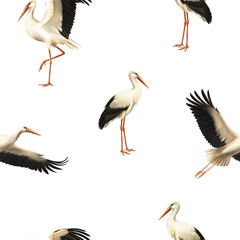 Seamless Pattern of White Stork – Realistic Pastel Hand-Drawn Digital Illustration, Transparent Bird Ornament, Wild Birds Wildlife Background Design,Ornithology Art