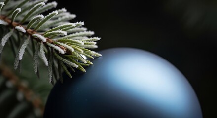 Closeup of a blue Christmas ornament with a frosted evergreen branch against a dark background