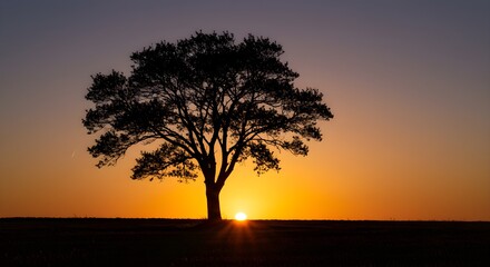 Fototapeta premium Majestic solitary tree silhouetted against a vibrant sunset sky