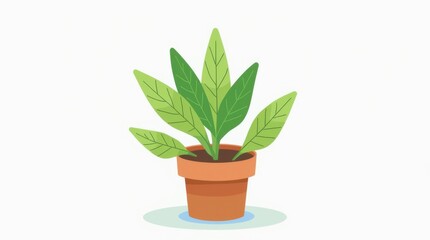 Small Potted Plant With Bright Green Leaves On White Background
