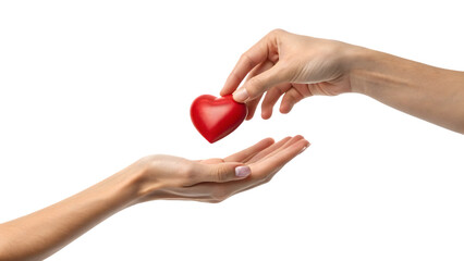 Obraz premium Hand giving a red heart to another hand isolated on transparent background