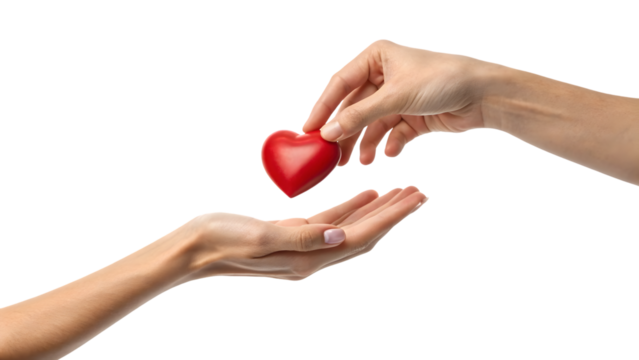 Hand giving a red heart to another hand isolated on transparent background