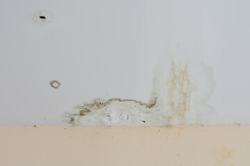Water damage and mold visible on a white ceiling near a vent.
