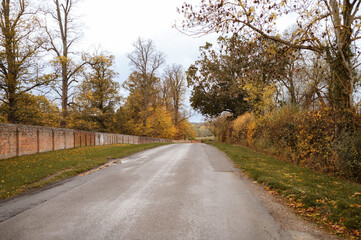 Empty autumn country road. High quality photo