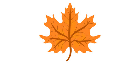 Bright orange maple leaf vector symbolizing autumn season, nature design element isolated on white background.