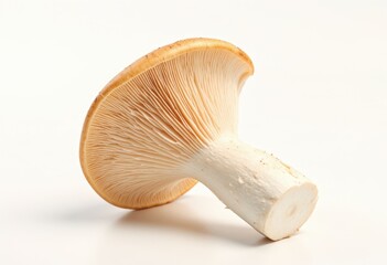 Fototapeta premium Fresh mushroom with a smooth cap and detailed gills, perfect for culinary use