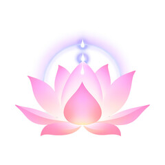 Pink lotus flower with spiritual aura and light isolated on white background isolated on transparent background silhouette