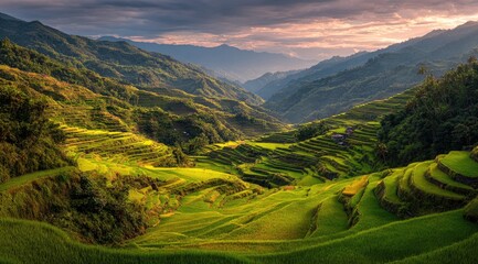 Stunning mountain valley with terraced rice paddies at sunrise