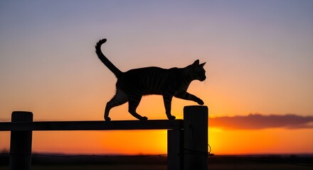 Black cat silhouette at sunset with an orange sky and tree, A cat gracefully walking along the very top of a wooden fence, silhouetted against the sky, national cat lover's month