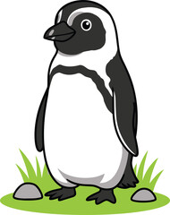 Cute African Penguin (Spheniscus Demersus) standing on grass, black-footed bird character clipart isolated on transparent background