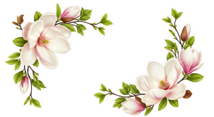 Elegant Magnolia Flower Corner Borders with Delicate Pink and White Blooms.