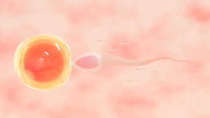 Sperm approaching a large egg cell, a microscopic visualization of the biological process of human or animal fertilization and reproduction. 3D render.