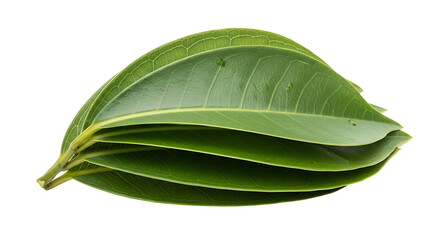 Fresh Green Leaves Stacked Neatly on a Pure White Background.