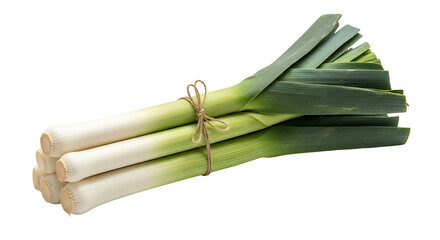 Freshly harvested organic leeks tied together with twine on a white background.