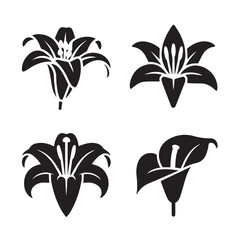 lily flower bundle 3.eps