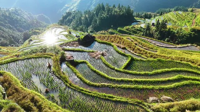 View of Jiabang Rice Terraces in the Guizhou province, China