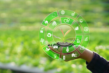 Hand holding young plant with green eco technology icons, representing sustainable innovation, renewable energy, and environmental protection.