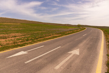 Mountain road among purple flowers. Azerbaijan.