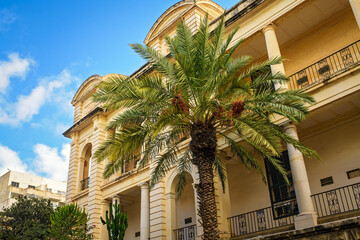 Majestic palm tree with large green leaves and clusters of dates in front of a Mediterranean building with arches, railings, and columns under a clear blue sky.