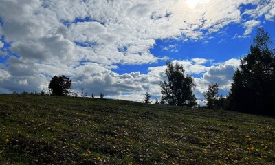 Autumn Forest Under Bright Blue Sky