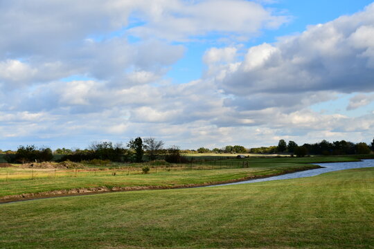 Lake in a Field