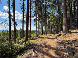 Former military landscape in Brdy Mountains, Czech Republic