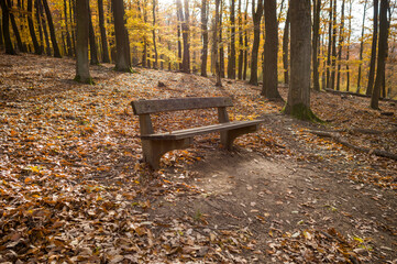 A Quiet Spot in Autumn