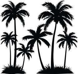 palm tree silhouette