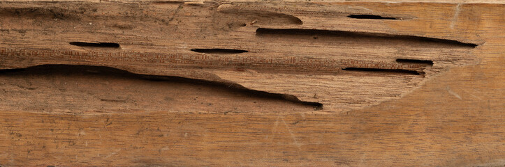 Brown wooden material plank