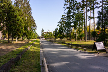 仙台の松島の瑞巌寺の総門の参道