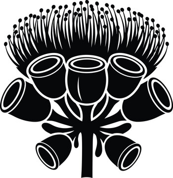 Australian native eucalyptus flower in black and white graphic