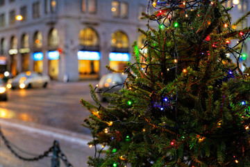 Small Illuminated Christmas Tree in City