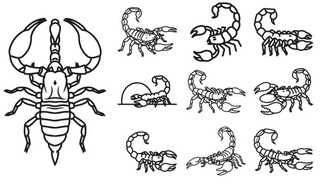 Scorpion Line Art Stroke Icons In Defensive Poses, Desert Arachnid Outline Vector For Wildlife Logos And Caution Graphics